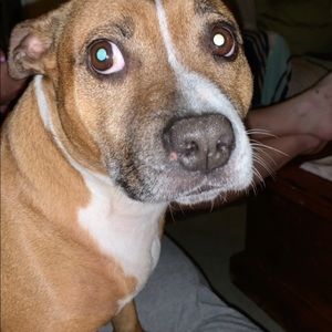 Meet your Posher, Isabelle